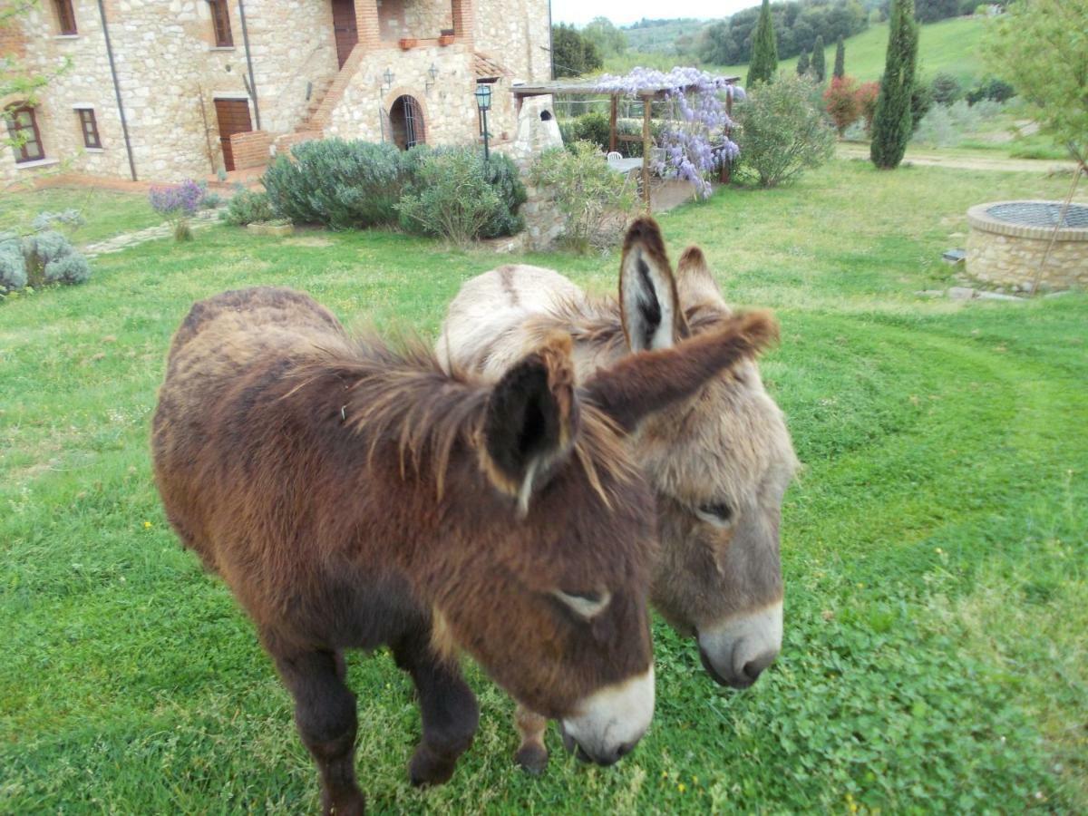 Le Pergoline B&B Casciana Terme Exterior foto